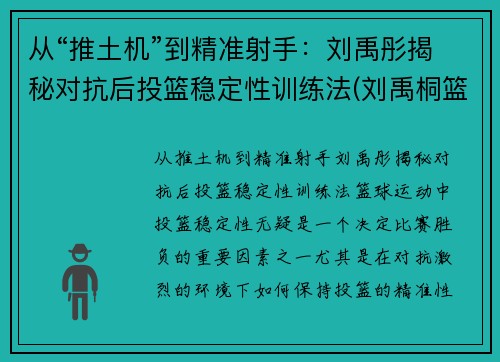 从“推土机”到精准射手：刘禹彤揭秘对抗后投篮稳定性训练法(刘禹桐篮球)