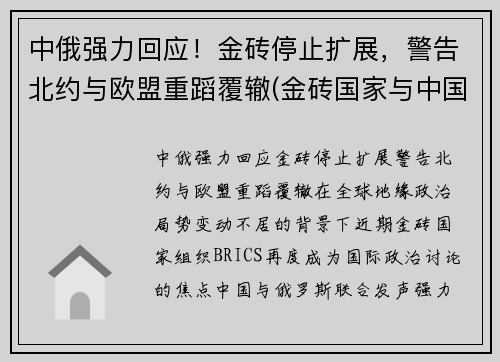 中俄强力回应！金砖停止扩展，警告北约与欧盟重蹈覆辙(金砖国家与中国接壤)