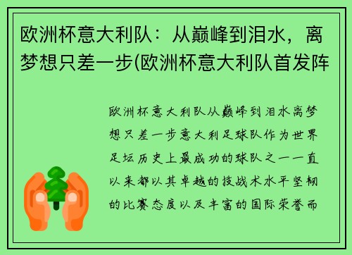 欧洲杯意大利队：从巅峰到泪水，离梦想只差一步(欧洲杯意大利队首发阵容)