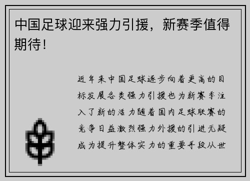 中国足球迎来强力引援，新赛季值得期待！